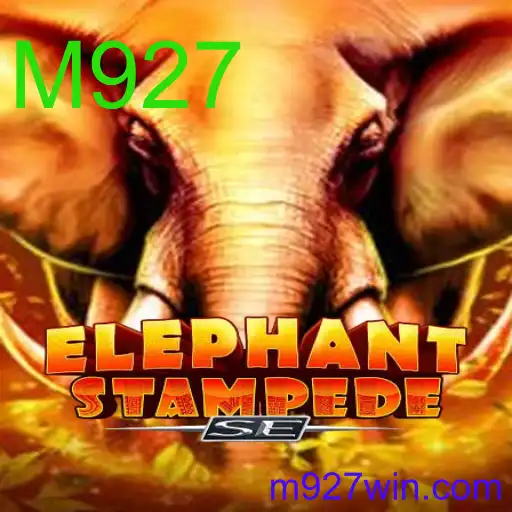 ElephantStampedeSE
